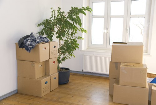 Careful wrapping of fragile household items for relocation